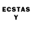 Ecstasy TESLA Integer8