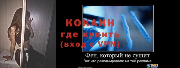 винт Липки
