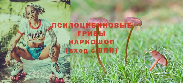винт Липки