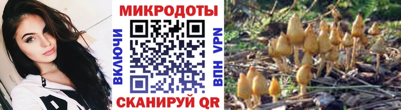 Купить где  Сертолово  Галлюциногенные грибы прущие грибы 